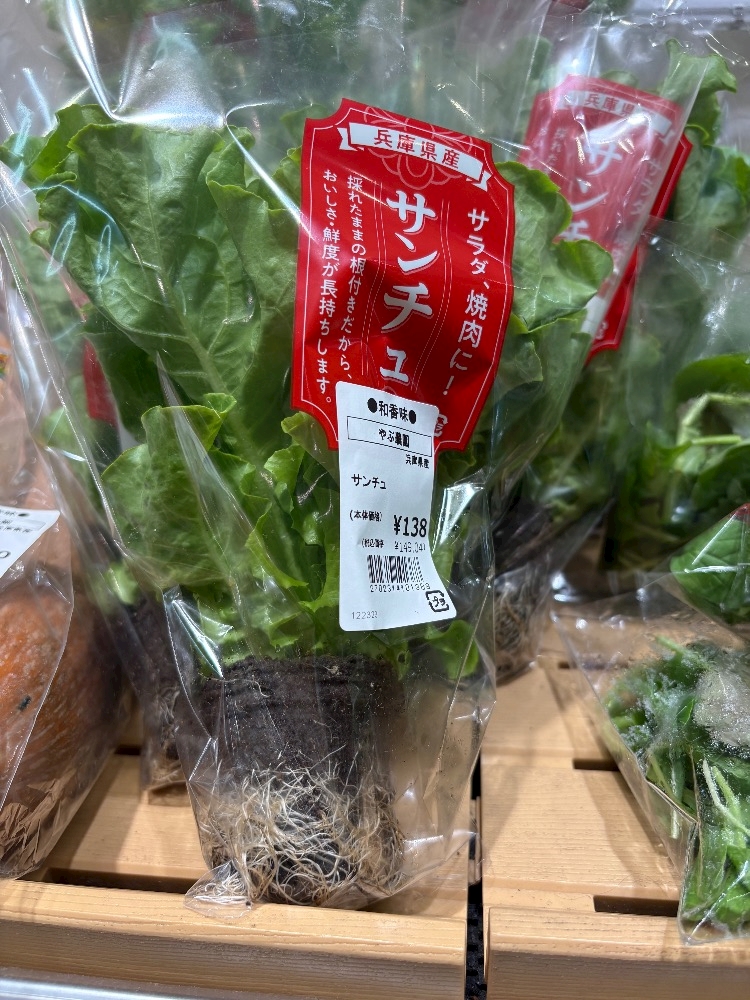 CLUB ONE CHAN 梅田堂山店日記1477402