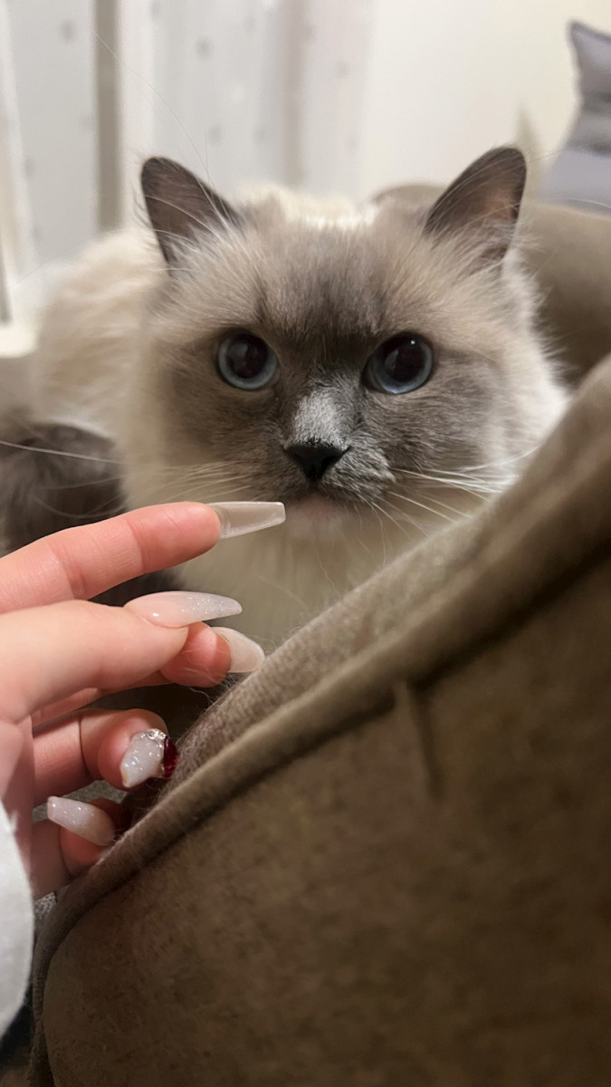 Bar Space Queen日記1579571