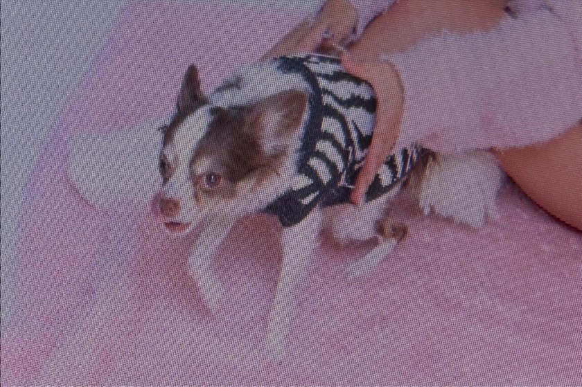 CLUB IDENTITY日記1537578