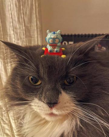 . . . されるがまま･･･