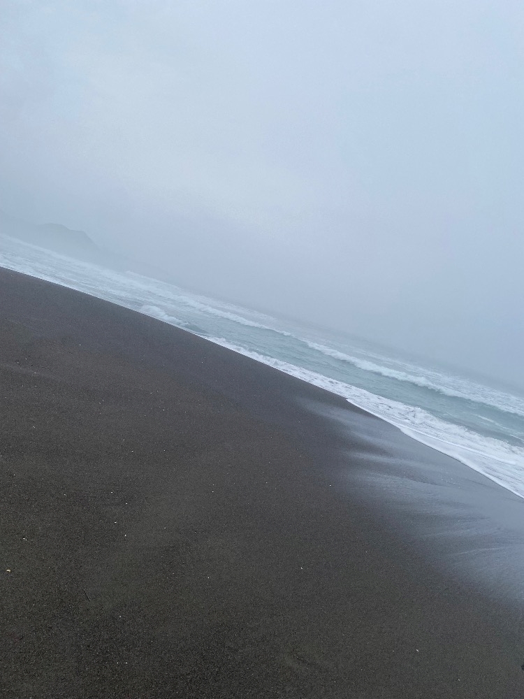 一条 葵