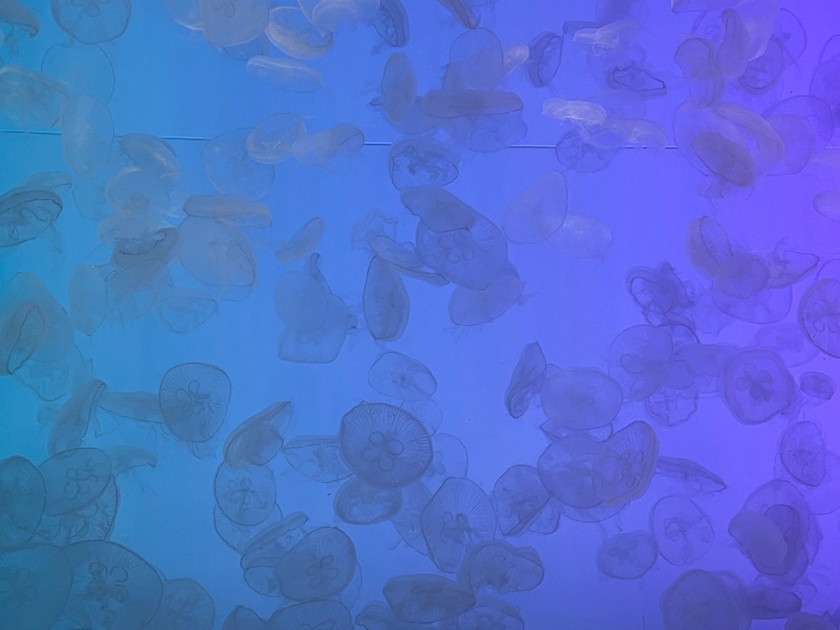 みりおん日記1555906