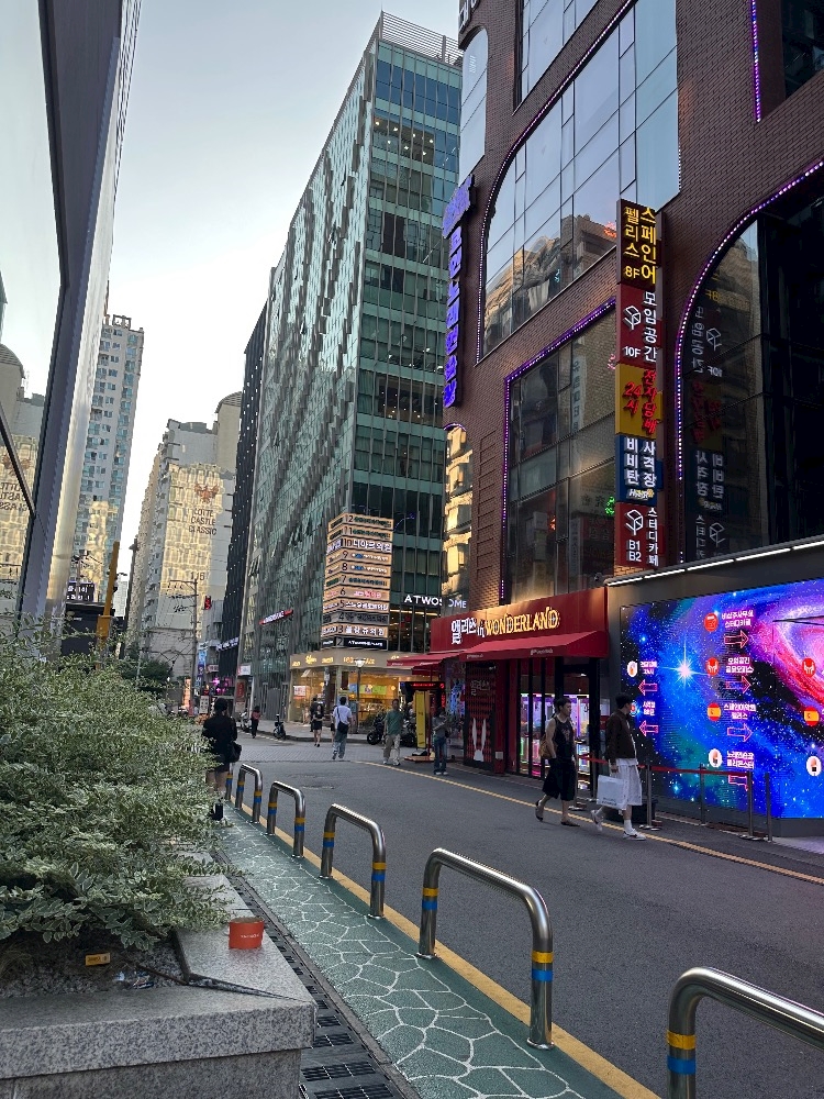 一条 葵