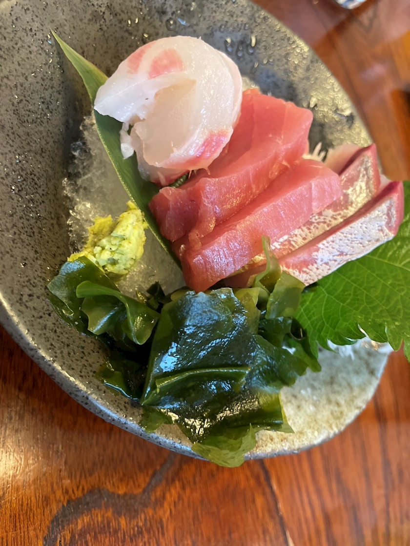 一条 葵