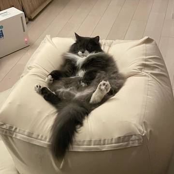 . . . 🐱‪‪＜えま･･･