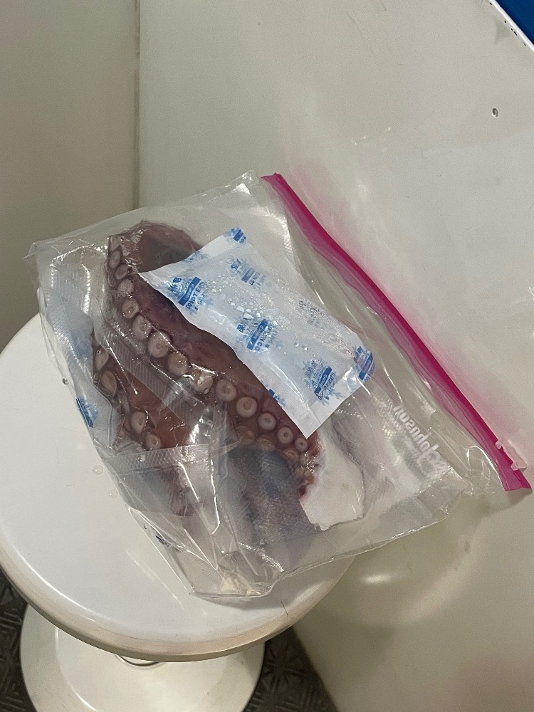 ThePARIS日記1542162