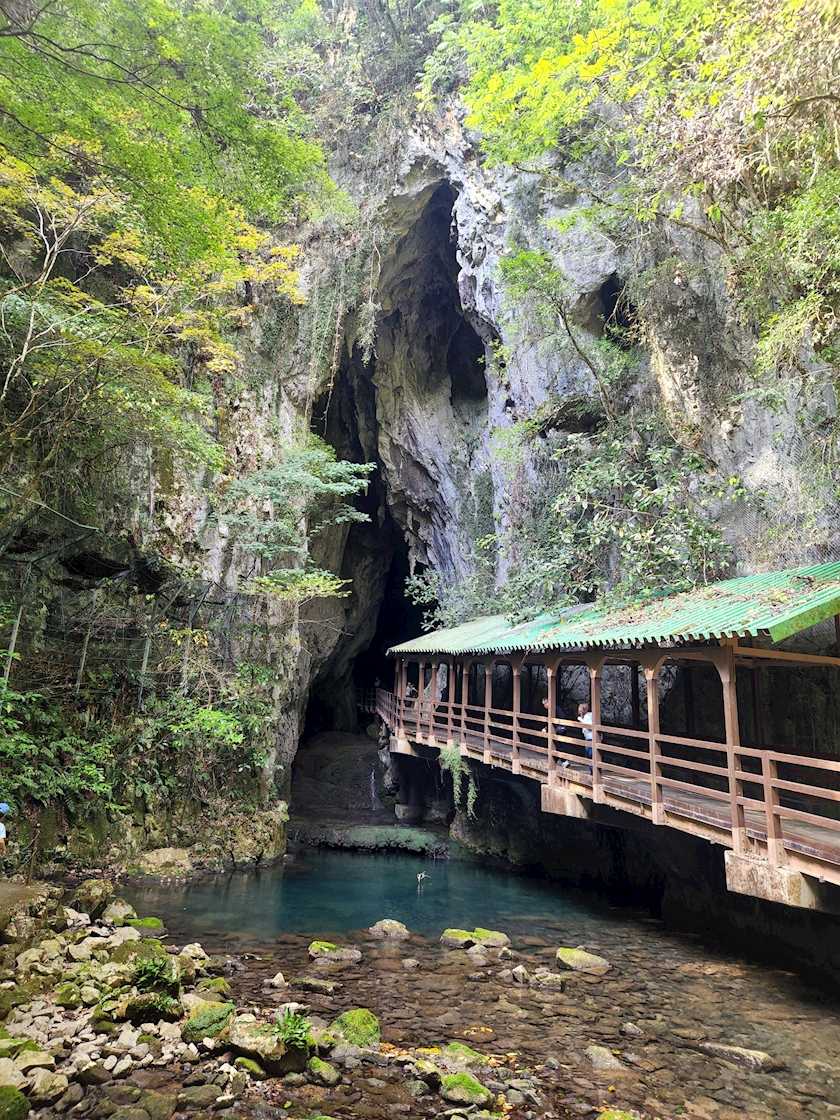 一条 葵