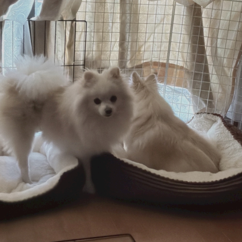 LOUNGE FOXI日記1619701