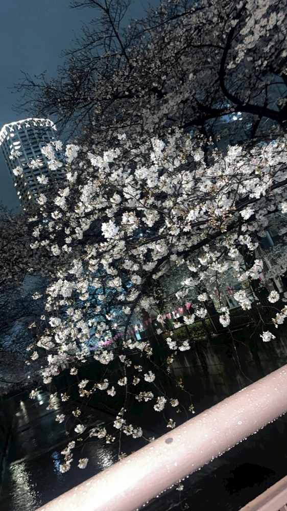 THE CLUB　AKASAKA/赤坂日記872610