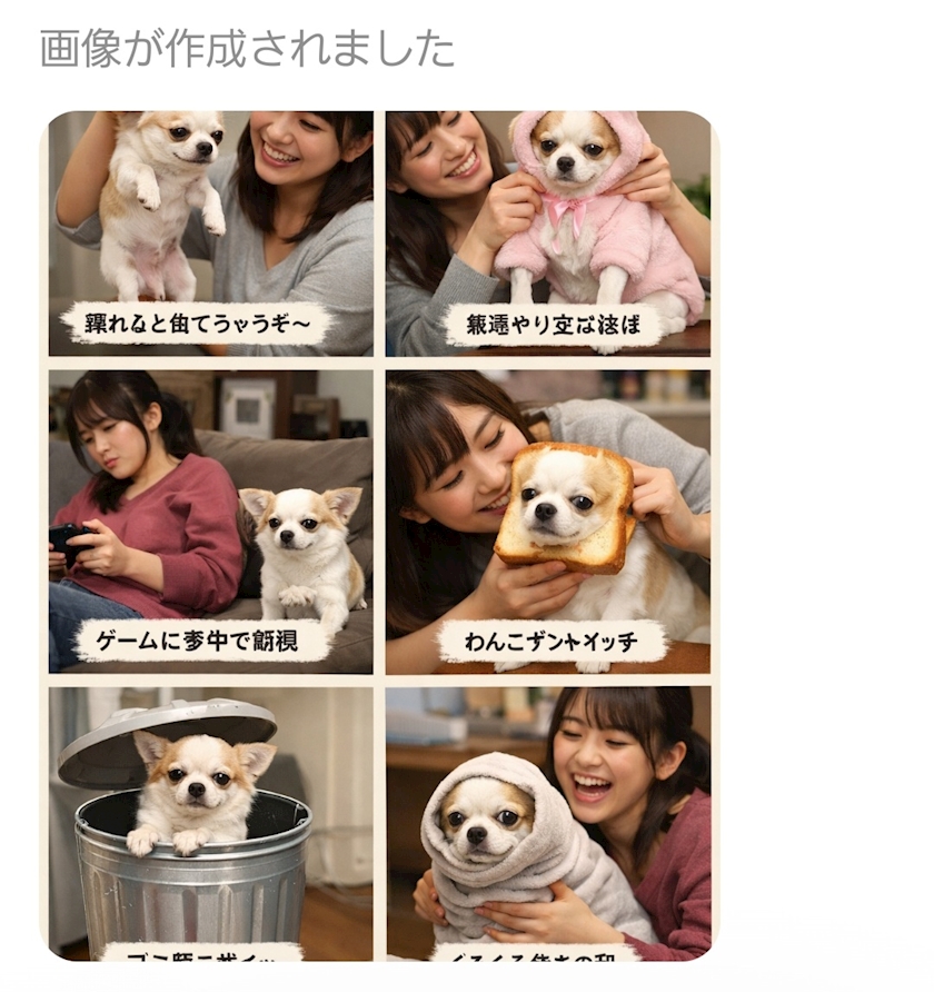 チャッピー。。🐕️