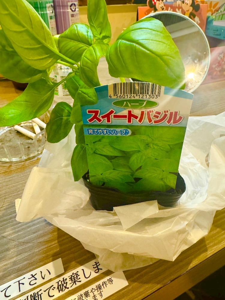 CLUB ONE CHAN 梅田堂山店日記1687935