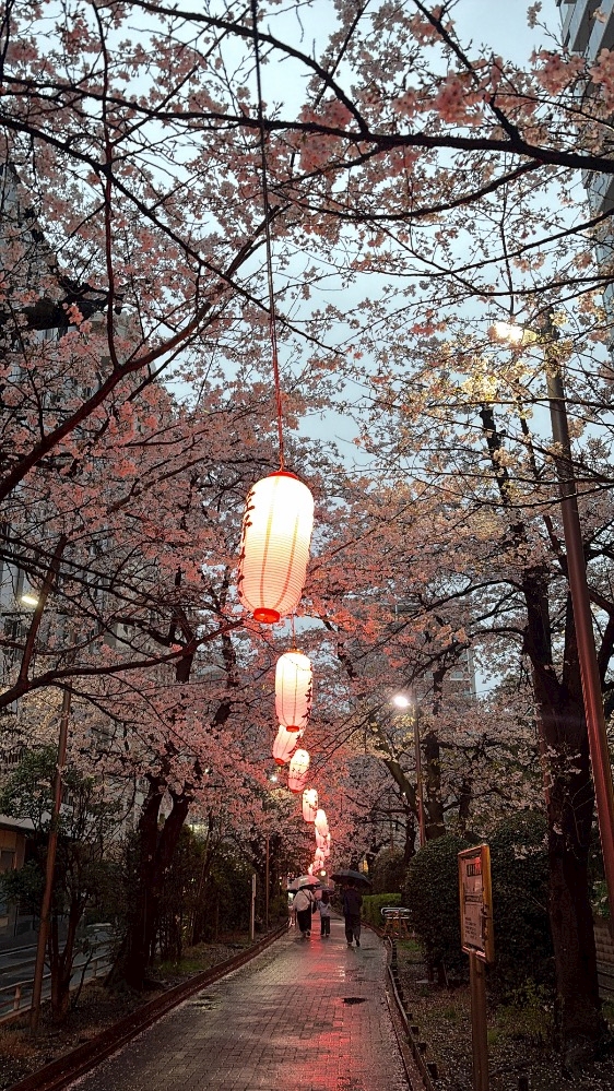 La vie et 神田日記1628405