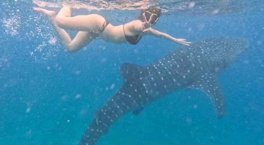 Angel Feather日記1650625