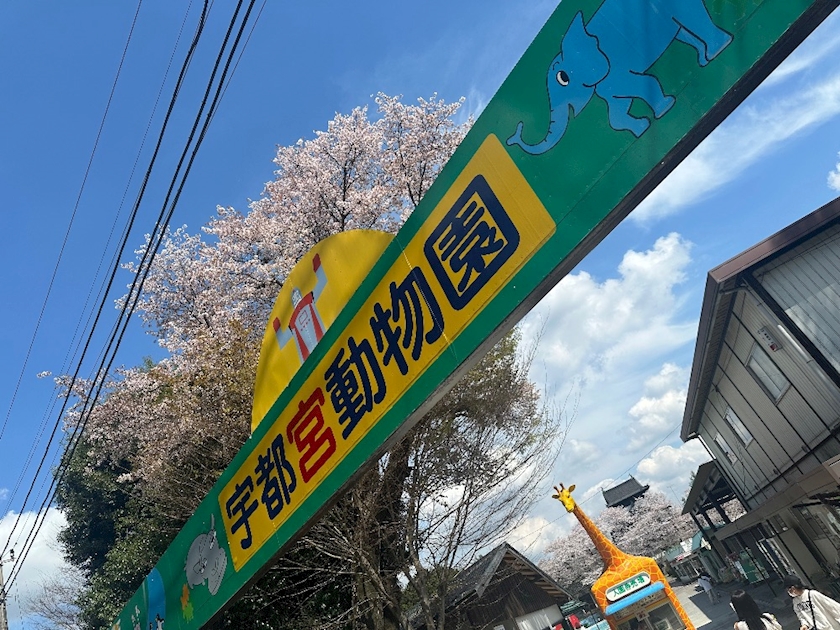 CLUB ONE CHAN 梅田堂山店日記1632170