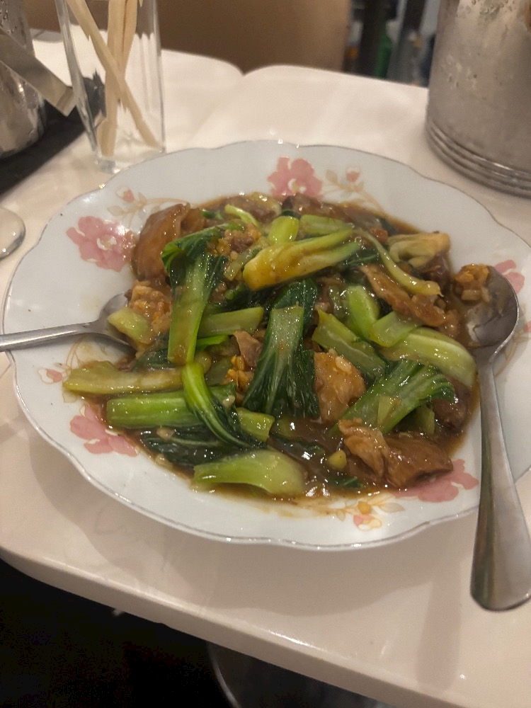 一条 葵