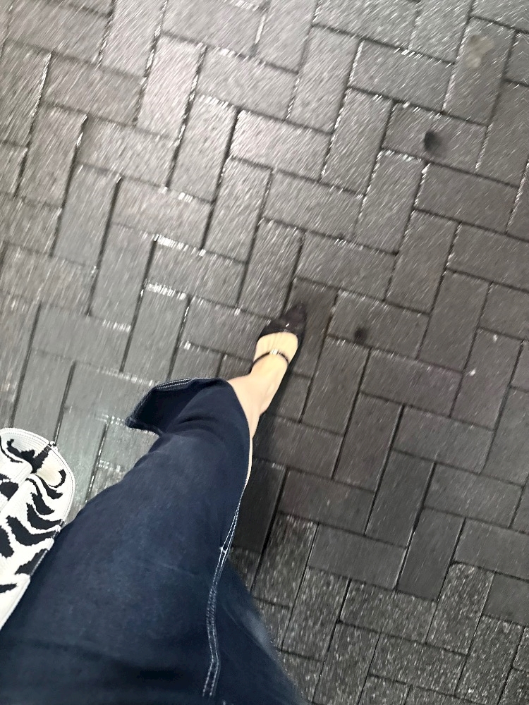 一条 葵