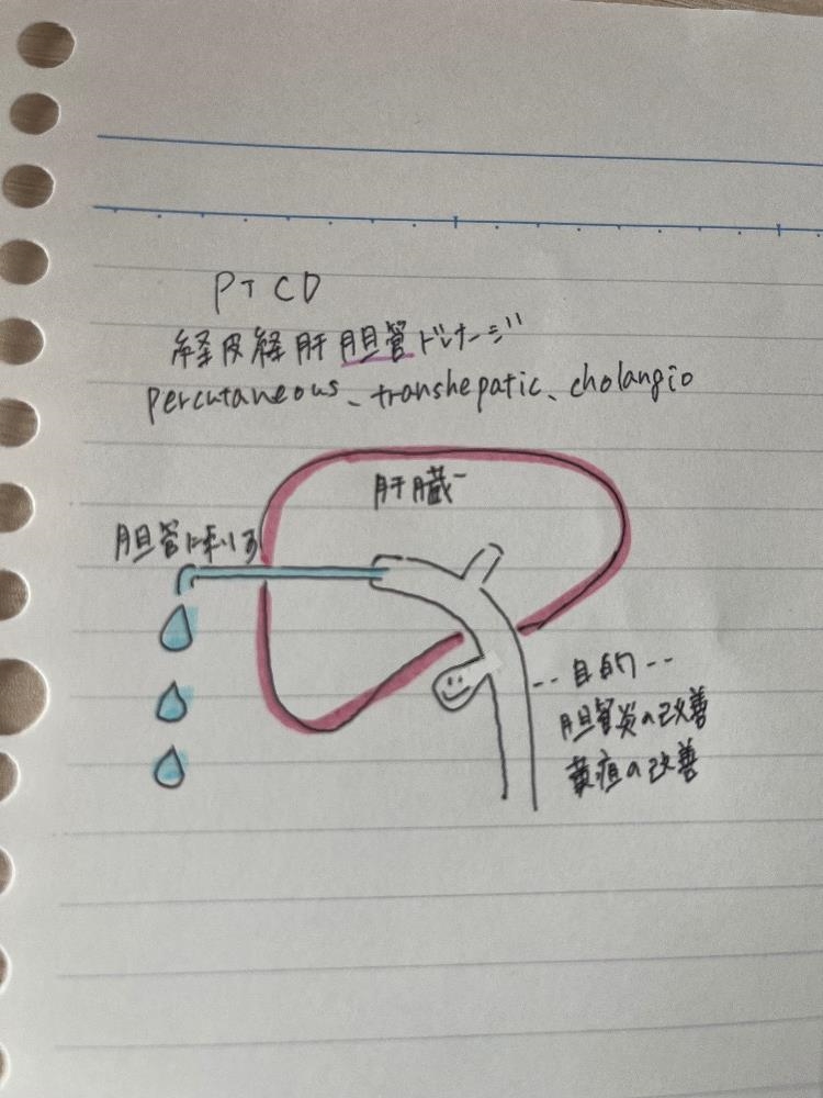 ガールズカフェ orange日記1585209