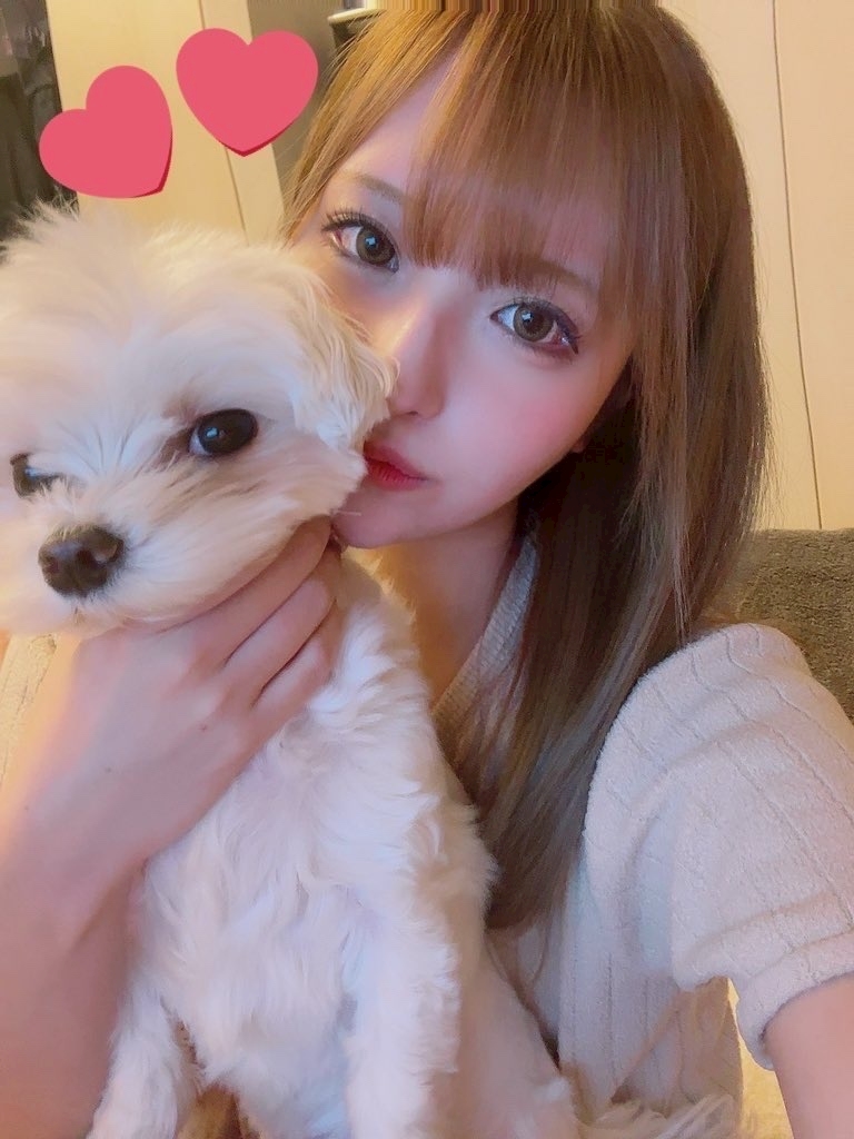 Angel Feather日記1645421