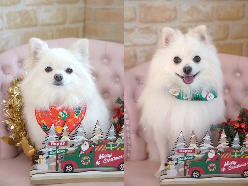 ママ七瀬　あや