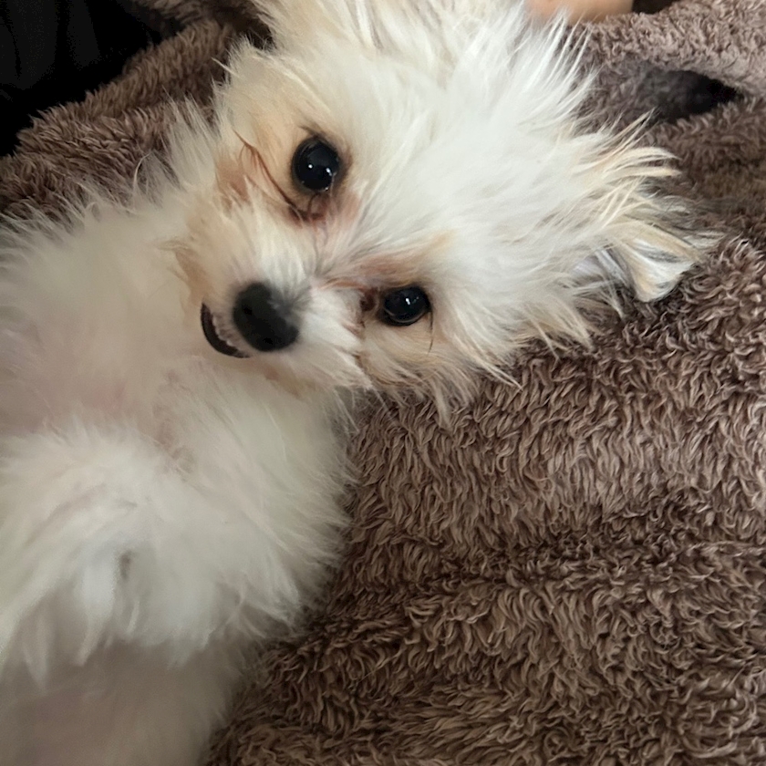 熟女キャバクラgllow日記1508095