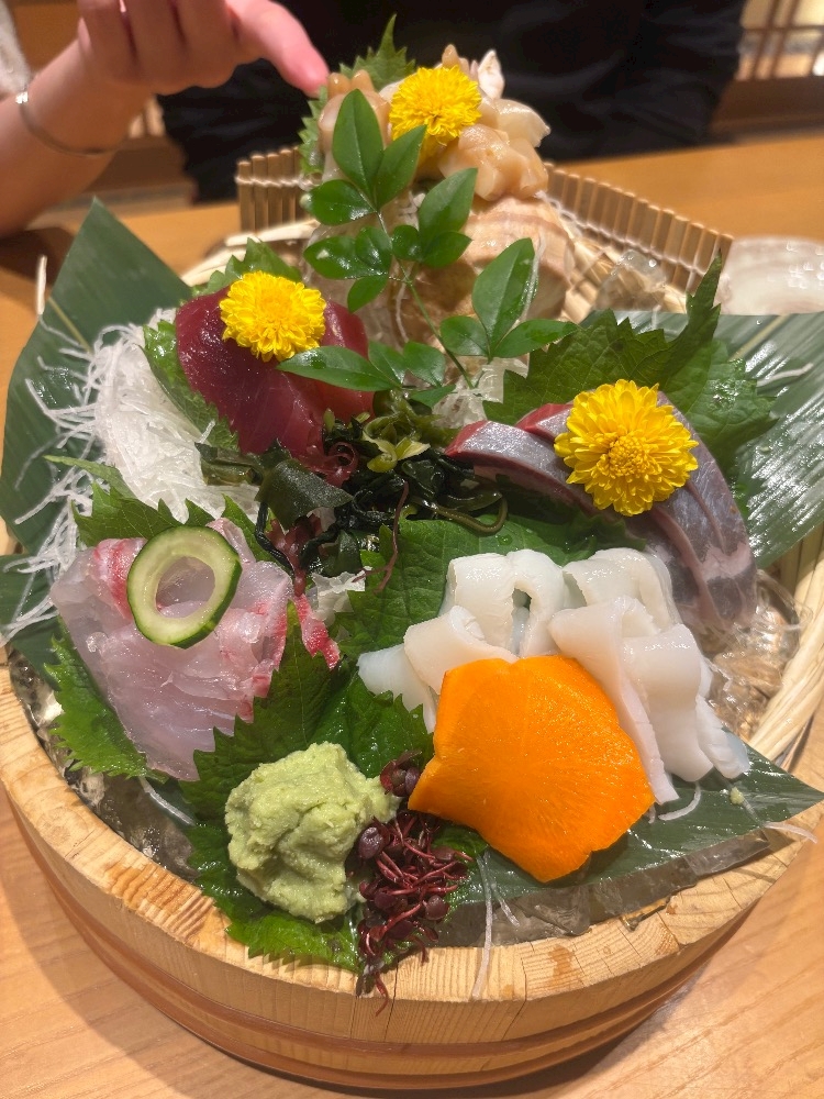 一条 葵