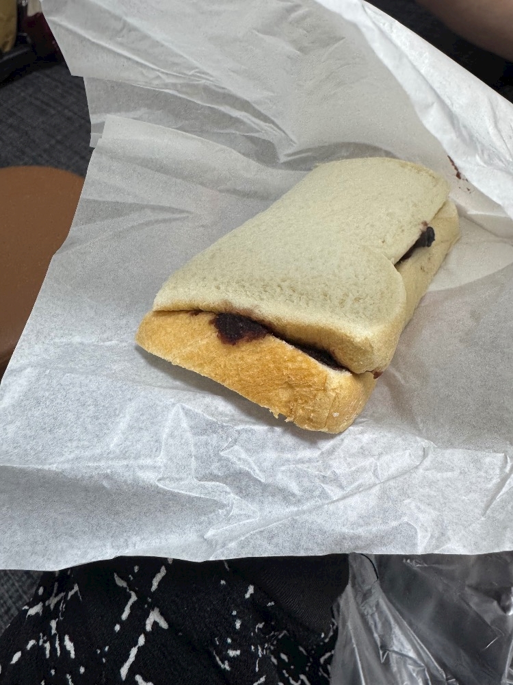 おかえりなさい日記1488238