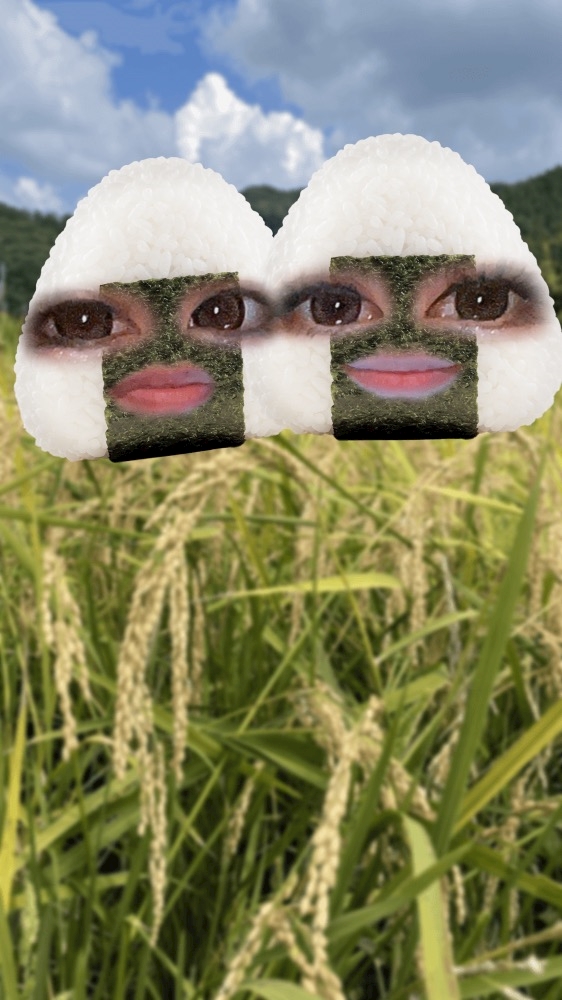 一条 葵