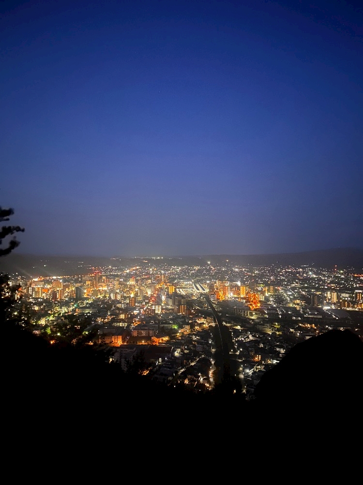 一条 葵