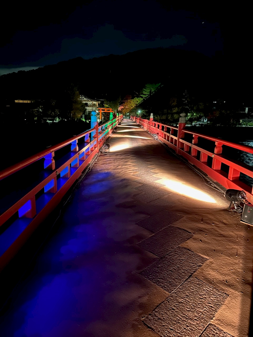 No.981~ライトアップ💡´-