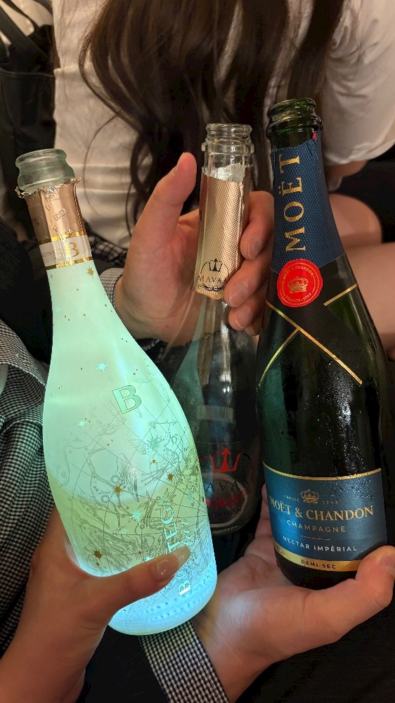 一条 葵