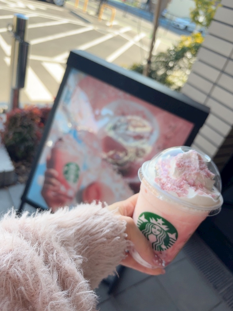 𝐍𝐨.𝟒𝟎 ⸜❤︎⸝‍ 桜の季節❀