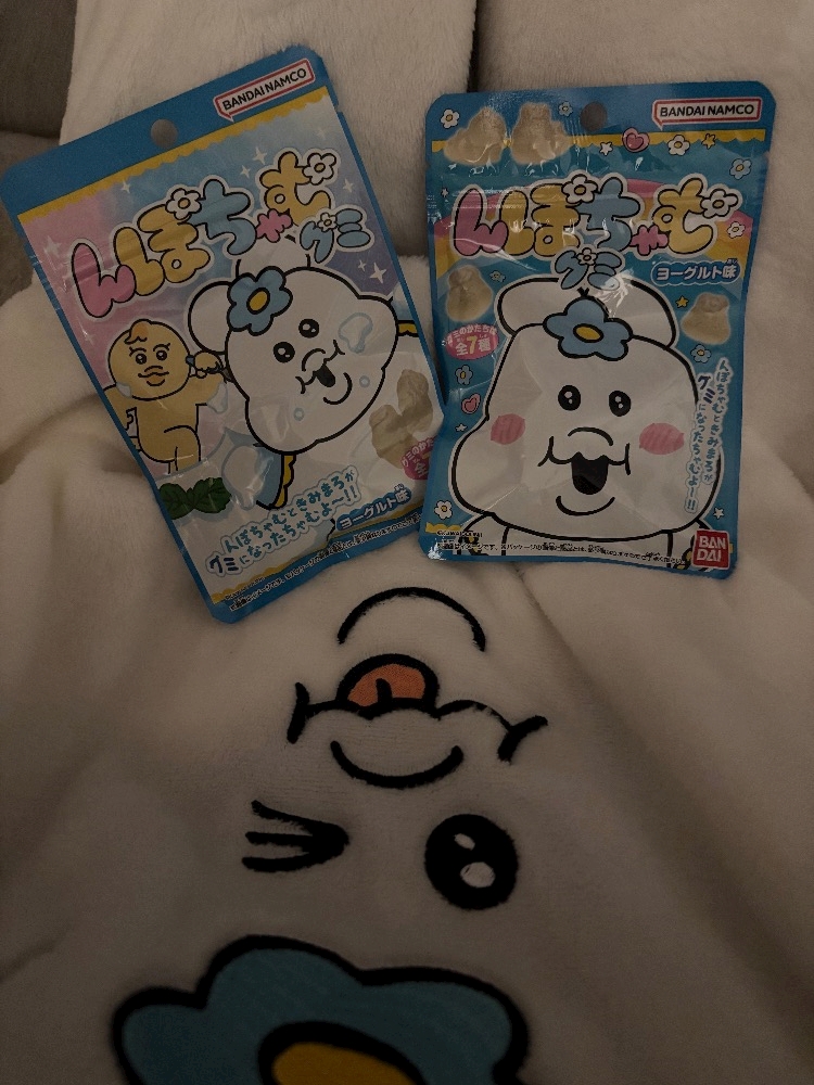 WISTERIA日記1506271