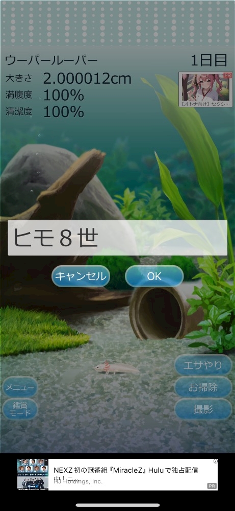 CLUB CARA (朝)日記1031331