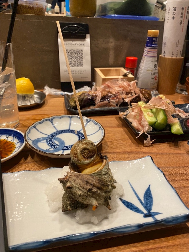 一条 葵