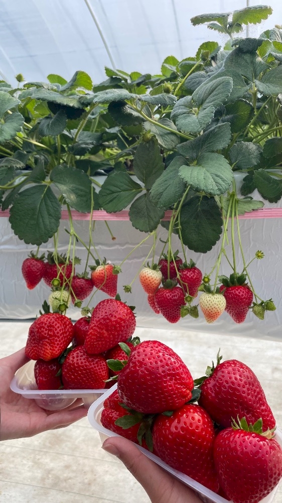 Bar Space Queen日記1591710