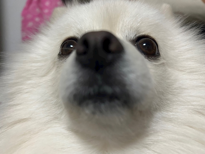 ママ七瀬　あや