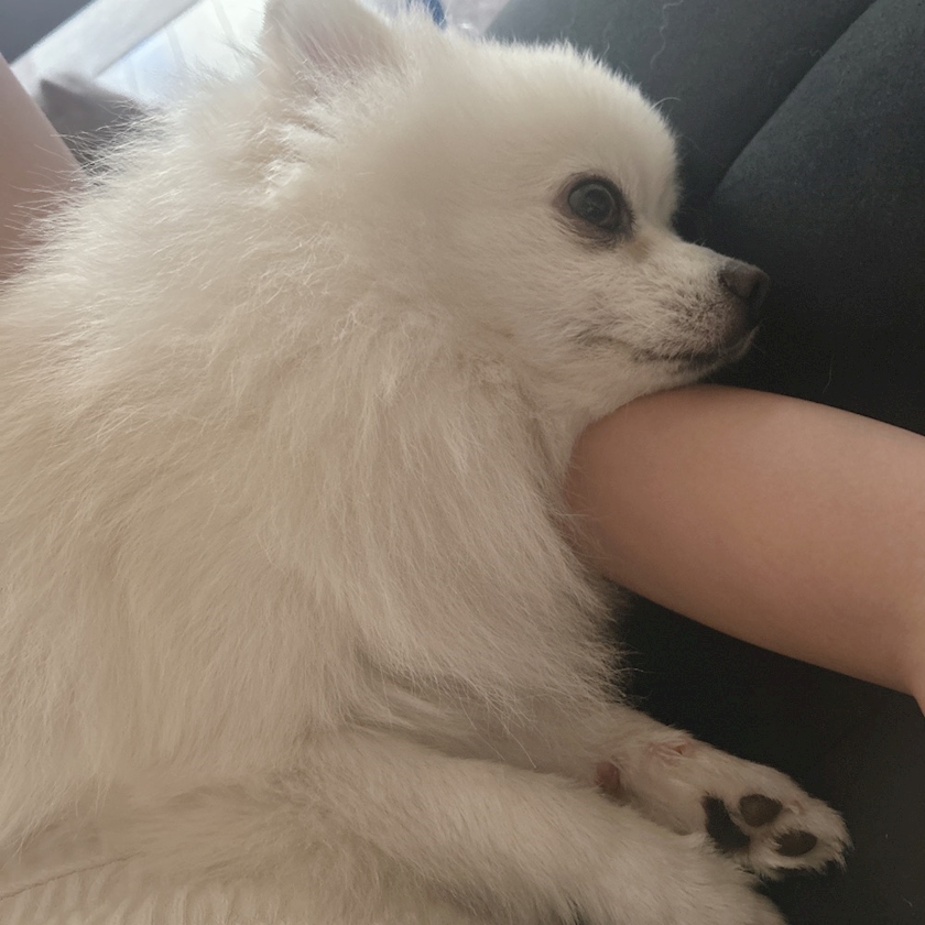 ママ七瀬　あや