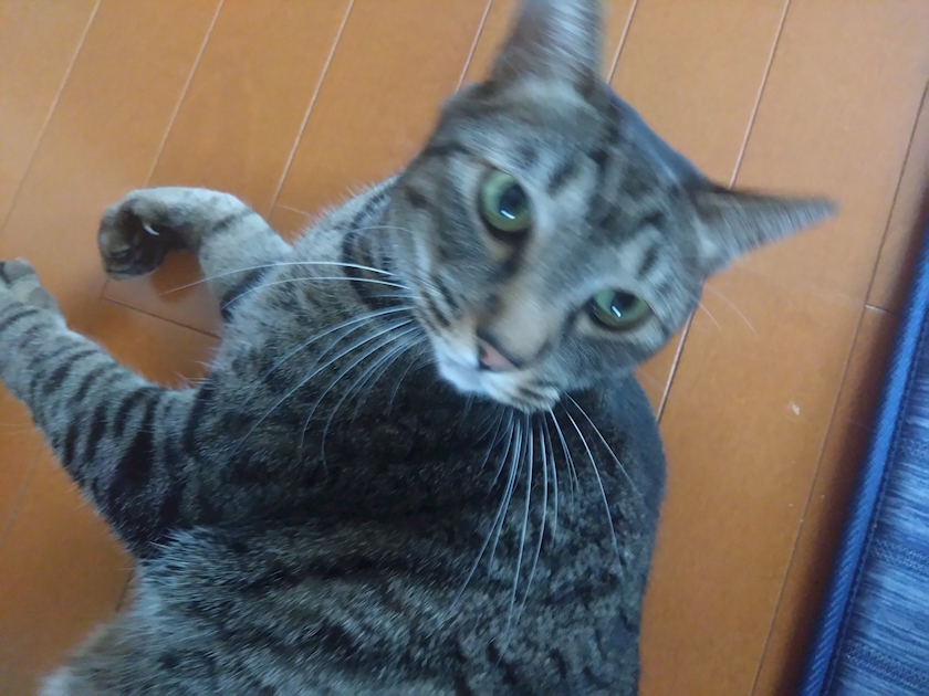 まち