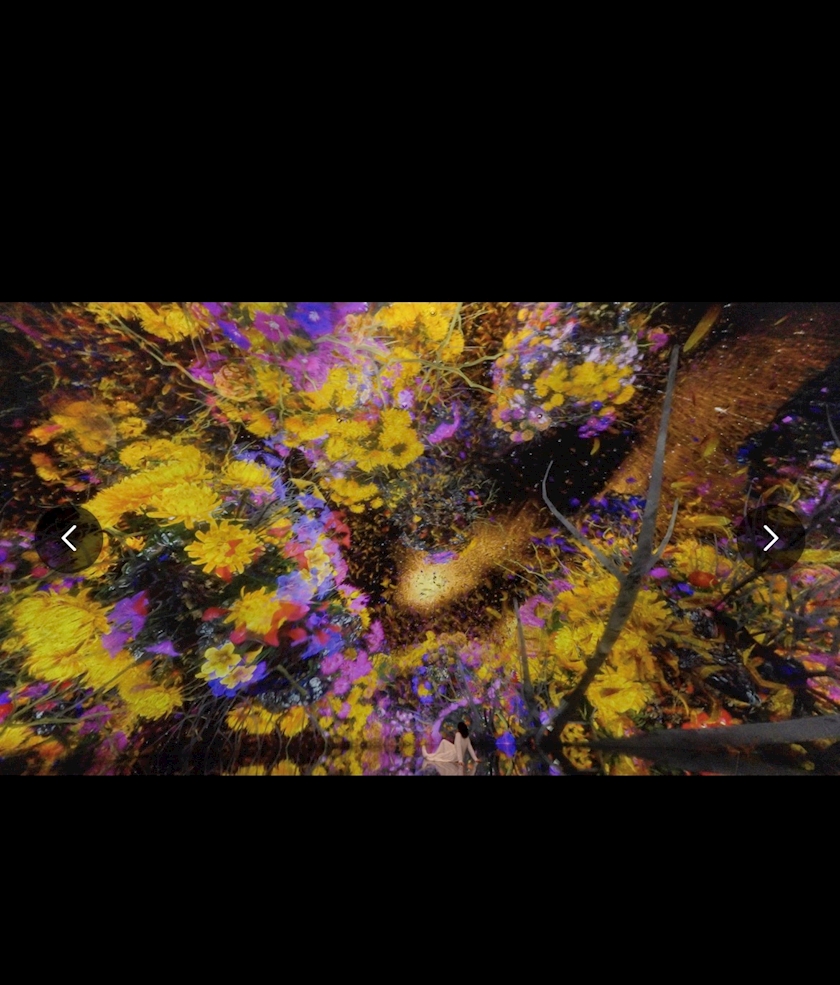 ミヤ