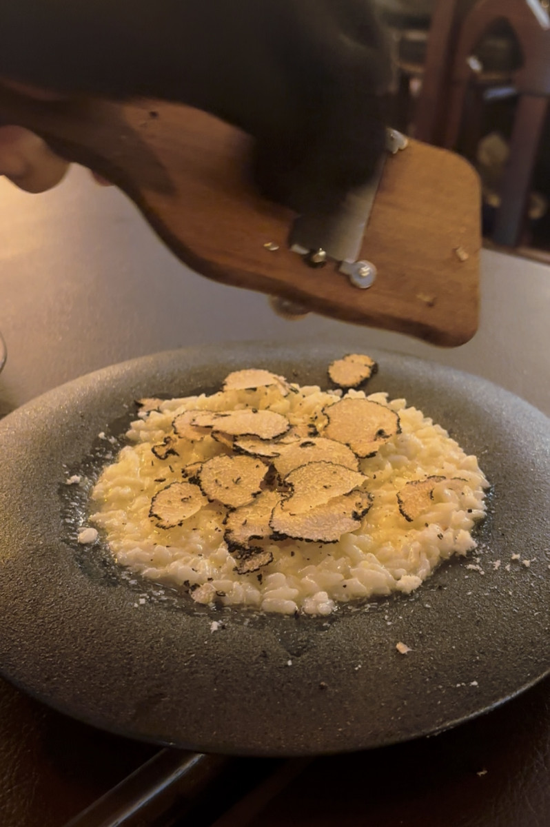 一条 葵