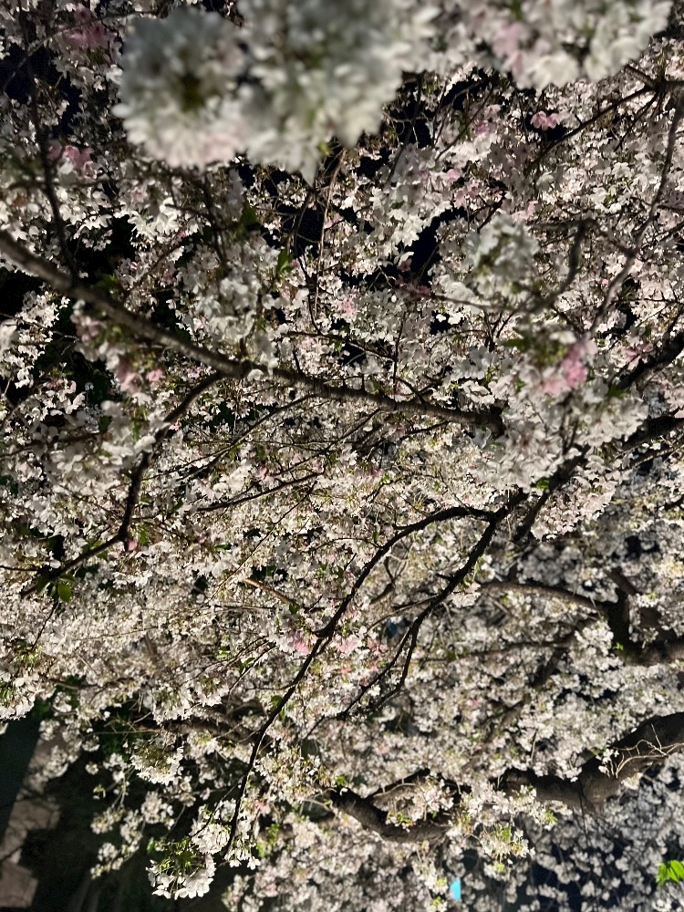 CLUB ONE CHAN 梅田堂山店日記1632335