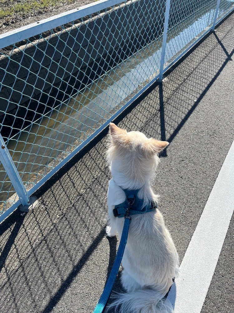 クラブグリム・小牧店日記1630312