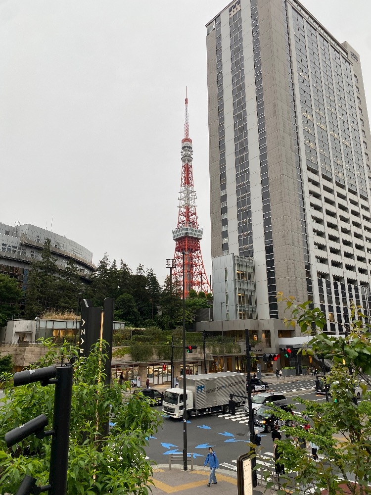 一条 葵