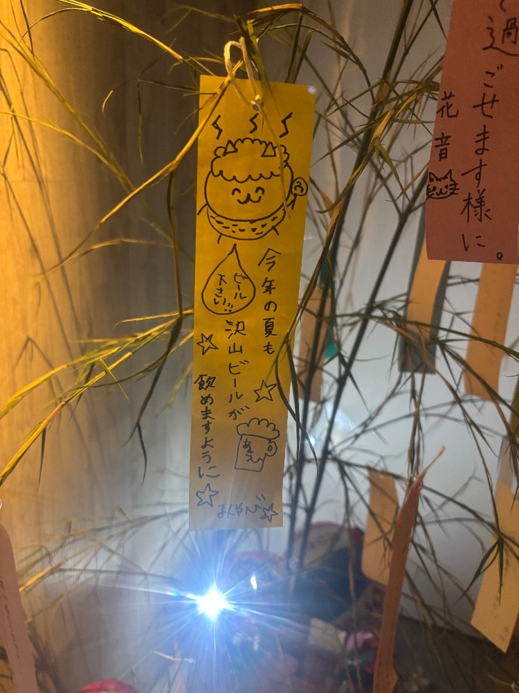 一条 葵