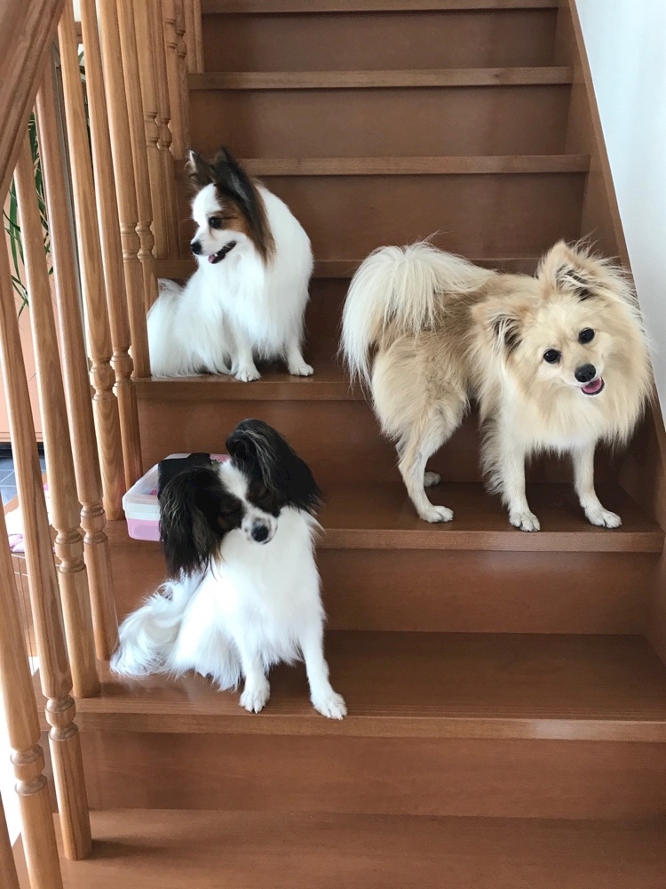 こっぷんかーあ