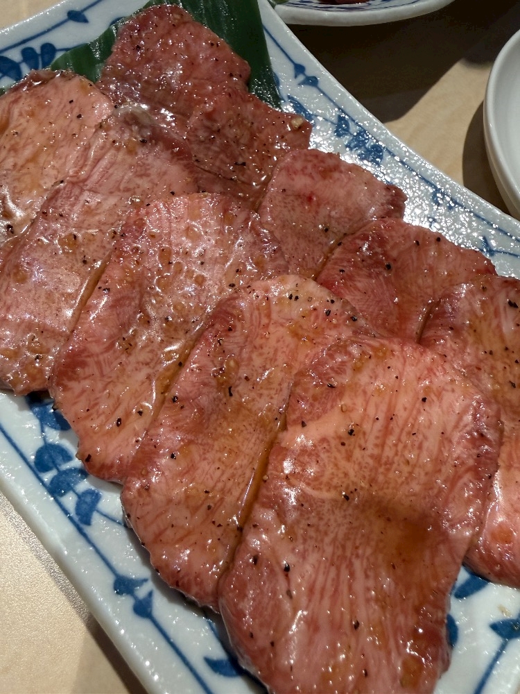 一条 葵