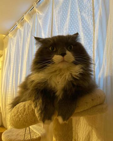 . . . こじろうのか･･･