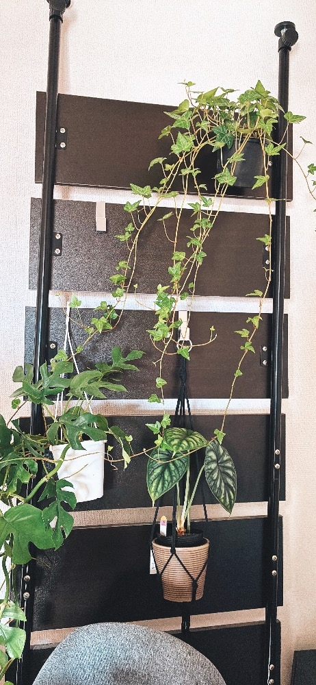 CLUB PARIS日記1523140