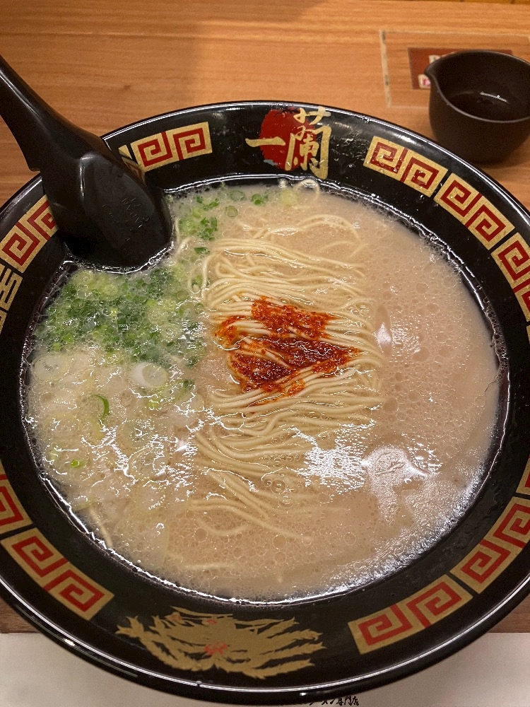 一条 葵