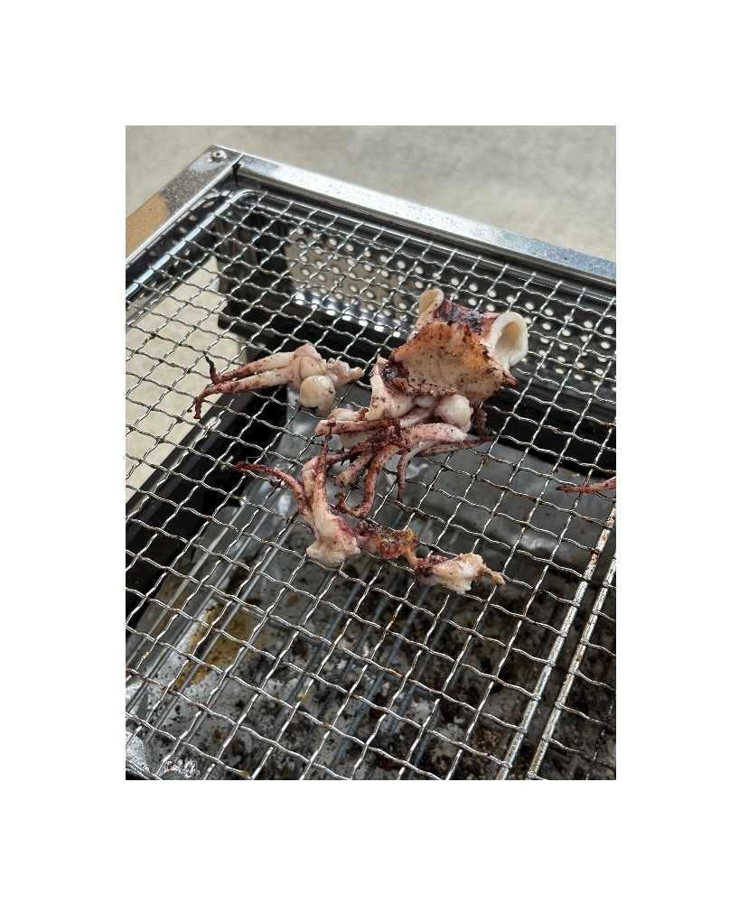 一条 葵